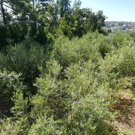 Quinta Vale Real