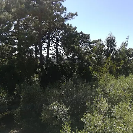 Quinta Vale Real Alcobaca