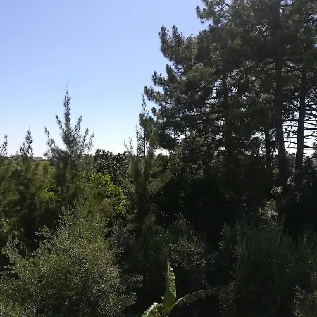 Quinta Vale Real Farm stay *