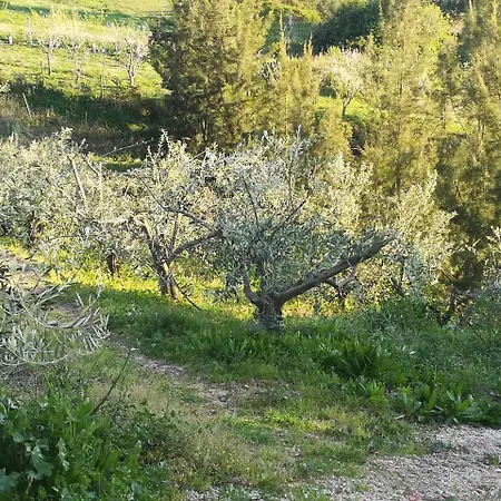 Quinta Vale Real Farm stay *