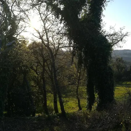Quinta Vale Real Farm stay Alcobaca